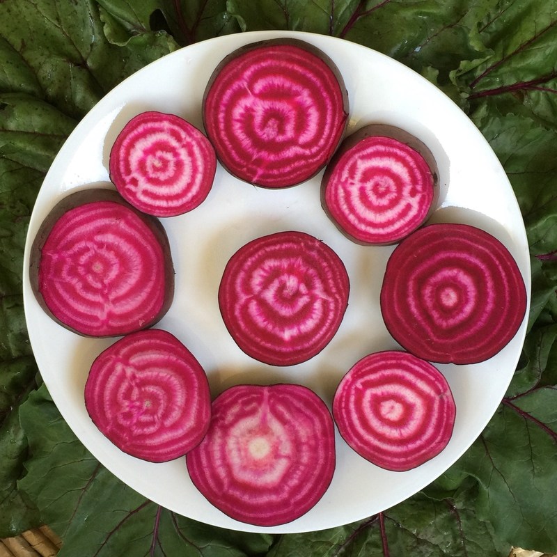 Sliced Chioggia, or candy cane, beets BY DOROTHY GREET